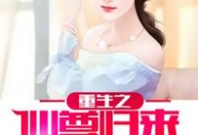 重生之仙尊归来叶飞小说免费阅读-贝壳文学