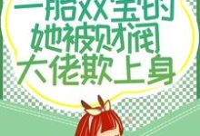 四年后，一胎双宝的她被财阀大佬欺上身最新章节，四年后，一胎双宝的她被财阀大佬欺上身章节在线阅读-贝壳文学