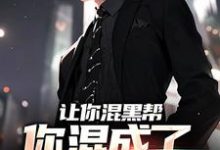 方正为主角的小说好看吗?免费读让你混黑帮,你混成了社会英雄?-贝壳文学