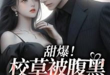 甜爆!校草被腹黑少女拿捏了小说全文哪里可以免费看?-贝壳文学