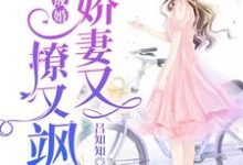 一睡成婚：娇妻又撩又飒章节免费在线阅读，阮玉糖墨夜柏墨夜橙完结版-贝壳文学