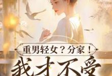 重男轻女？分家！ 我才不受这窝囊气免费阅读，重男轻女？分家！ 我才不受这窝囊气水清范进-贝壳文学