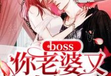《boss你老婆又生气了》小说主角苏柒柒宫司夜唐小米明澈寒章节章节免费在线阅读-贝壳文学