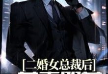 二婚女总裁后,前妻哭着求复合小说全文阅读需要付费吗?寻找免费资源-贝壳文学