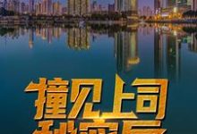 完结版《撞见上司秘密后，他平步青云了》章节阅读-贝壳文学