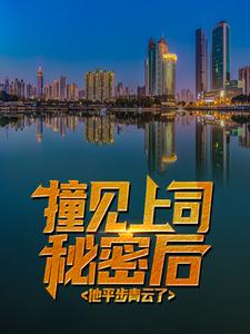 完结版《撞见上司秘密后，他平步青云了》章节阅读