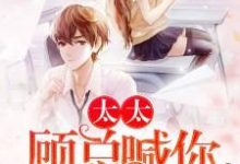 太太,顾总喊你生二胎小说,太太,顾总喊你生二胎 戚玥顾淮-贝壳文学