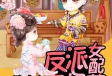 《快穿之反派女配不好惹》小说主角慕晚晚司理晨萧清绝章节章节免费在线阅读-贝壳文学