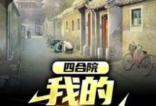 四合院:我的悠闲生活林天,四合院:我的悠闲生活小说免费阅读-贝壳文学