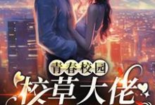 青春校园:校草大佬的白月光章节免费在线阅读,陈牧池恩完结版-贝壳文学