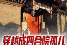 穿越成四合院孤儿,我靠系统起飞了陈知行陈宁在线章节免费阅读-贝壳文学
