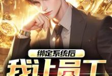 绑定系统后,我让员工上二休二王枫小说免费阅读-贝壳文学