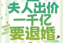 薄爷，夫人出价一千亿要退婚这本小说完结了吗？免费查看最新章节-贝壳文学