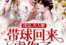 男女主人公林小冉沈怀瑾小说沈总,夫人她带球回来虐你了章节免费阅读-贝壳文学