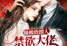 她极致撩人,禁欲大佬清醒沦陷小说无弹窗阅读的网站推荐-贝壳文学