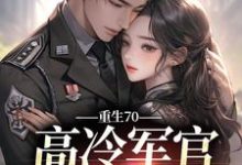 主角叶岁晚萧御宴小说完结版在线阅读，重生70：高冷军官太会撩免费看-贝壳文学