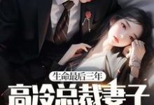 生命最后三年，高冷总裁妻子疯狂报复我！ 晏隋蒋琬，生命最后三年，高冷总裁妻子疯狂报复我！在线无弹窗阅读-贝壳文学