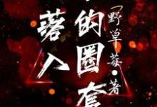 落入他的圈套这本小说在哪里可以看？哪里有免费试读章节？-贝壳文学