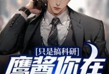只是搞科研,鹰酱你在怕什么?苏晨陆婉兮在线章节免费阅读-贝壳文学