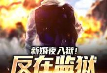 新婚夜入狱！反在监狱成大佬小说的最新章节在哪里更新？免费追踪阅读-贝壳文学