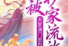 已完结小说《夫家满门忠烈，却被抄家流放？》章节在线阅读-贝壳文学