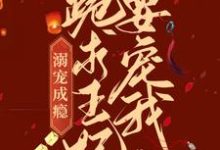 溺宠成瘾：跪求王妃要宠我石静娴胤礽小说免费阅读-贝壳文学