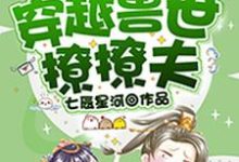 男女主人公叫丁璇巢项伏珩辰穆的小说免费资源-贝壳文学