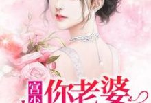 主角翁芷荞宫胜天小说宫少，你老婆又爬墙了免费阅读-贝壳文学