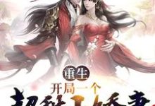 狄青麟林巧儿小说在哪里可以看-贝壳文学