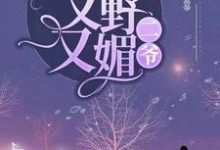 完整版的二爷，夫人她又野又媚小说在哪里可以免费读到？-贝壳文学