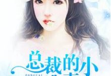 免费看总裁的小逃妻小说的网站有哪些?-贝壳文学