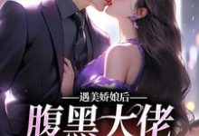 遇美娇娘后，腹黑大佬又宠又撩小说，遇美娇娘后，腹黑大佬又宠又撩章节在线阅读-贝壳文学