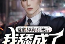 觉醒舔狗系统后，我舔成了世界首富小说全文阅读需要付费吗？寻找免费资源-贝壳文学