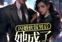 闪婚软饭男后,她成了富太太?小说,闪婚软饭男后,她成了富太太?免费阅读-贝壳文学