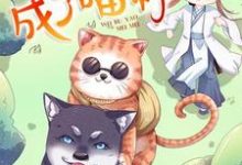 《一不小心成了喵神》小说大结局免费试读 林风百合小说-贝壳文学