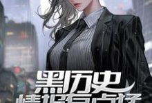 男女主人公叫林弦赵英珺的小说免费资源-贝壳文学