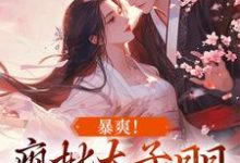 小说《暴爽！疯批太子日日狂撩小娇妻》章节阅读-贝壳文学