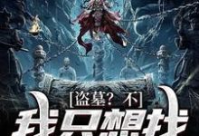 张宝宝张之酒的故事在哪本书里?免费阅读盗墓?不,我只想找失踪的妈-贝壳文学