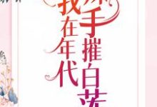 我在年代辣手摧白莲最新章节，我在年代辣手摧白莲章节在线阅读-贝壳文学