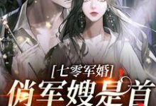 小说《七零军婚：俏军嫂是首长的心头肉》在线章节阅读-贝壳文学