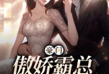 白蕴夏墨宴舟是哪本书的主角？豪门：傲娇霸总先婚后爱免费读-贝壳文学