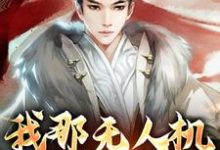 我那无人机轰炸倭寇小说阅读，我那无人机轰炸倭寇完结版-贝壳文学