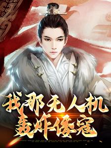 我那无人机轰炸倭寇小说阅读，我那无人机轰炸倭寇完结版