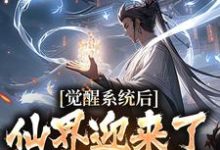 《觉醒系统后,仙界迎来了互联网时代》小说大结局免费试读 林夜小说-贝壳文学