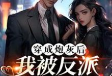 在线寻找穿成炮灰后，我被反派夫人拉黑了小说的无删减版本-贝壳文学