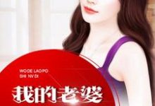 叶火沐水心为主角的小说好看吗?免费读我的老婆是女帝-贝壳文学