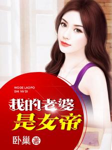 叶火沐水心为主角的小说好看吗？免费读我的老婆是女帝