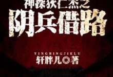 小说《神探狄仁杰之阴兵借路》在线章节阅读-贝壳文学