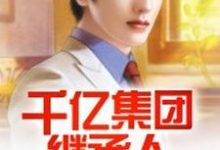完结版《千亿集团继承人》章节阅读-贝壳文学