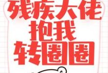 沈易欢傅蓦擎为主角的小说叫什么?免费看闪婚后,残疾大佬抱我转圈圈-贝壳文学